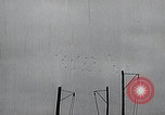 Image of United States Curtiss P-40 planes Long Island New York United States USA, 1940, second 43 stock footage video 65675042520