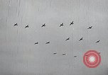 Image of United States Curtiss P-40 planes Long Island New York United States USA, 1940, second 48 stock footage video 65675042520