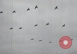 Image of United States Curtiss P-40 planes Long Island New York United States USA, 1940, second 49 stock footage video 65675042520