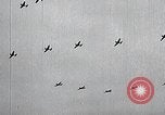 Image of United States Curtiss P-40 planes Long Island New York United States USA, 1940, second 50 stock footage video 65675042520