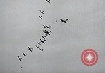 Image of United States Curtiss P-40 planes Long Island New York United States USA, 1940, second 55 stock footage video 65675042520