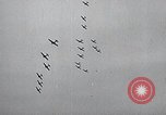 Image of United States Curtiss P-40 planes Long Island New York United States USA, 1940, second 56 stock footage video 65675042520