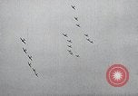 Image of United States Curtiss P-40 planes Long Island New York United States USA, 1940, second 57 stock footage video 65675042520