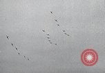 Image of United States Curtiss P-40 planes Long Island New York United States USA, 1940, second 58 stock footage video 65675042520