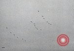 Image of United States Curtiss P-40 planes Long Island New York United States USA, 1940, second 59 stock footage video 65675042520