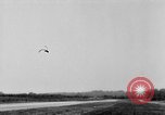 Standbild Taylorcraft Flugzeuge landen und starten Alexandria Virginia United States USA, 1953, aus Sekunde 40 historischem Filmmaterial Videoclip 65675042539