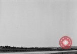 Standbild Taylorcraft Flugzeuge landen und starten Alexandria Virginia United States USA, 1953, aus Sekunde 42 historischem Filmmaterial Videoclip 65675042539