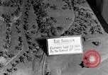 Standbild Fort Harrison Richmond Virginia USA, 1953, aus Sekunde 35 historischem Filmmaterial Videoclip 65675042545