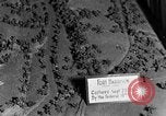 Standbild Fort Harrison Richmond Virginia USA, 1953, aus Sekunde 38 historischem Filmmaterial Videoclip 65675042545
