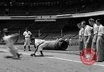 Standbild Cincinatti Reds Baseball Spieler Cincinnati Ohio USA, 1953, aus Sekunde 30 historischem Filmmaterial Videoclip 65675042547