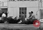 Immagine di Civil Air Patrol cadetti Urbana Illinois USA, 1953, secondo 19 filmato di repertorio 65675042549