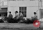 Immagine di Civil Air Patrol cadetti Urbana Illinois USA, 1953, secondo 21 filmato di repertorio 65675042549