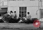 Immagine di Civil Air Patrol cadetti Urbana Illinois USA, 1953, secondo 22 filmato di repertorio 65675042549