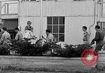 Immagine di Civil Air Patrol cadetti Urbana Illinois USA, 1953, secondo 24 filmato di repertorio 65675042549
