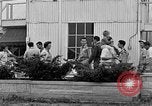 Immagine di Civil Air Patrol cadetti Urbana Illinois USA, 1953, secondo 26 filmato di repertorio 65675042549