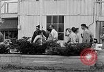 Immagine di Civil Air Patrol cadetti Urbana Illinois USA, 1953, secondo 28 filmato di repertorio 65675042549