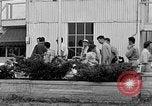 Immagine di Civil Air Patrol cadetti Urbana Illinois USA, 1953, secondo 29 filmato di repertorio 65675042549
