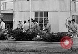 Immagine di Civil Air Patrol cadetti Urbana Illinois USA, 1953, secondo 32 filmato di repertorio 65675042549