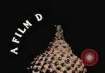 Image of United States 430th Fighter Squadron arrival in Thailand Takhli Thailand, 1964, second 35 stock footage video 65675042576