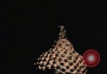Image of United States 430th Fighter Squadron arrival in Thailand Takhli Thailand, 1964, second 44 stock footage video 65675042576