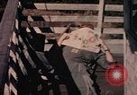 Image of fire trucks Takhli Thailand, 1964, second 35 stock footage video 65675042582