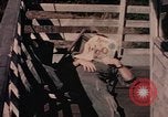 Image of fire trucks Takhli Thailand, 1964, second 38 stock footage video 65675042582