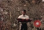 Standbild USA 430th Fighter Squadron Takhli Thailand, 1964, aus Sekunde 35 historischem Filmmaterial Videoclip 65675042586