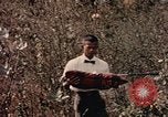 Standbild USA 430th Fighter Squadron Takhli Thailand, 1964, aus Sekunde 36 historischem Filmmaterial Videoclip 65675042586
