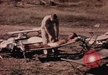 Standbild USA 430th Fighter Squadron Takhli Thailand, 1964, aus Sekunde 24 historischem Filmmaterial Videoclip 65675042588