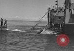 Standbild mine sweep Boote Meer von Japan, 1952, aus Sekunde 20 historischem Filmmaterial Videoclip 65675042591