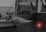 Standbild mine sweep Boote Meer von Japan, 1952, aus Sekunde 38 historischem Filmmaterial Videoclip 65675042591