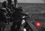 Standbild unter Wasser Demolition Team Meer von Japan, 1952, aus Sekunde 36 historischem Filmmaterial Videoclip 65675042592