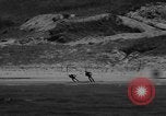 Standbild Underwater Demolition Team Wonsan Korea, 1952, aus Sekunde 43 historischem Filmmaterial Videoclip 65675042596