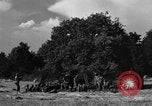 Standbild United States Army Field Artillery waffenmannschaft Afrikanisch Mantes de Gassicourt Frankreich, 1944, aus Sekunde 43 historischem Filmmaterial Videoclip 65675042597