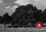 Standbild United States Army Field Artillery waffenmannschaft Afrikanisch Mantes de Gassicourt Frankreich, 1944, aus Sekunde 44 historischem Filmmaterial Videoclip 65675042597