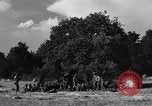 Standbild United States Army Field Artillery waffenmannschaft Afrikanisch Mantes de Gassicourt Frankreich, 1944, aus Sekunde 45 historischem Filmmaterial Videoclip 65675042597
