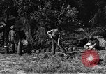 Standbild United States Army Field Artillery waffenmannschaft Afrikanisch Mantes de Gassicourt Frankreich, 1944, aus Sekunde 51 historischem Filmmaterial Videoclip 65675042597