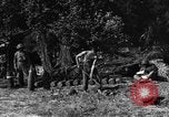 Standbild United States Army Field Artillery waffenmannschaft Afrikanisch Mantes de Gassicourt Frankreich, 1944, aus Sekunde 53 historischem Filmmaterial Videoclip 65675042597