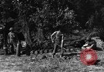 Standbild United States Army Field Artillery waffenmannschaft Afrikanisch Mantes de Gassicourt Frankreich, 1944, aus Sekunde 54 historischem Filmmaterial Videoclip 65675042597