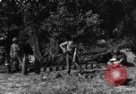 Standbild United States Army Field Artillery waffenmannschaft Afrikanisch Mantes de Gassicourt Frankreich, 1944, aus Sekunde 55 historischem Filmmaterial Videoclip 65675042597