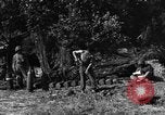 Standbild United States Army Field Artillery waffenmannschaft Afrikanisch Mantes de Gassicourt Frankreich, 1944, aus Sekunde 56 historischem Filmmaterial Videoclip 65675042597