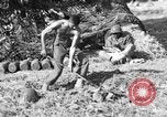Standbild United States Army Field Artillery waffenmannschaft Afrikanisch Mantes de Gassicourt Frankreich, 1944, aus Sekunde 57 historischem Filmmaterial Videoclip 65675042597