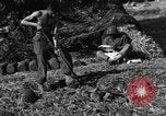Standbild United States Army Field Artillery waffenmannschaft Afrikanisch Mantes de Gassicourt Frankreich, 1944, aus Sekunde 59 historischem Filmmaterial Videoclip 65675042597