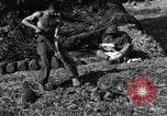 Standbild United States Army Field Artillery waffenmannschaft Afrikanisch Mantes de Gassicourt Frankreich, 1944, aus Sekunde 60 historischem Filmmaterial Videoclip 65675042597