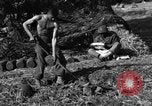 Standbild United States Army Field Artillery waffenmannschaft Afrikanisch Mantes de Gassicourt Frankreich, 1944, aus Sekunde 62 historischem Filmmaterial Videoclip 65675042597