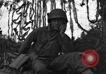 Image Bataillon d'artillerie de la 92e Division d'infanterie (en couleur) Mantes de Gassicourt France, 1944, de la seconde 37 séquences d'archives historiques vidéo 65675042599