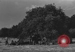Image Bataillon d'artillerie de la 92e Division d'infanterie (en couleur) Mantes de Gassicourt France, 1944, de la seconde 60 séquences d'archives historiques vidéo 65675042599
