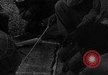 Image of African American officer Latignano Italy, 1944, second 10 stock footage video 65675042605