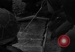Image of African American officer Latignano Italy, 1944, second 13 stock footage video 65675042605