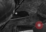 Image of African American officer Latignano Italy, 1944, second 40 stock footage video 65675042605
